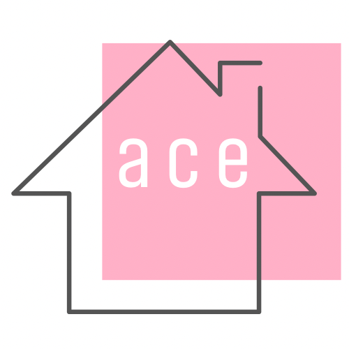 株式会社エース